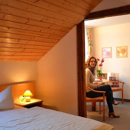 Hotel Hotel-pension Vier Jahreszeiten Bad Elster